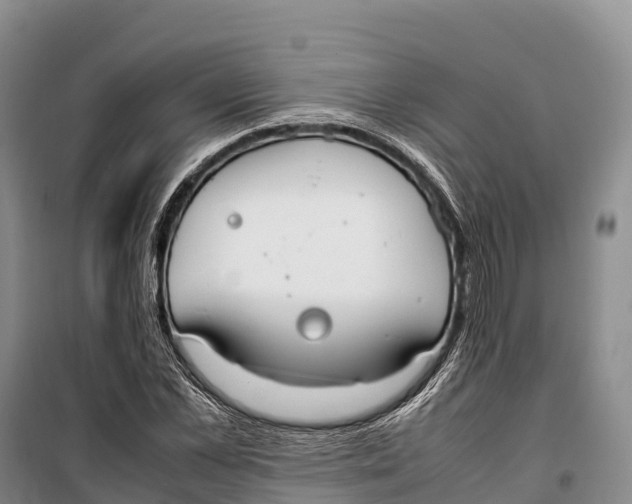 X0000099230973200805151626