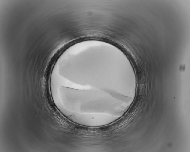 X0000099230975200805151626