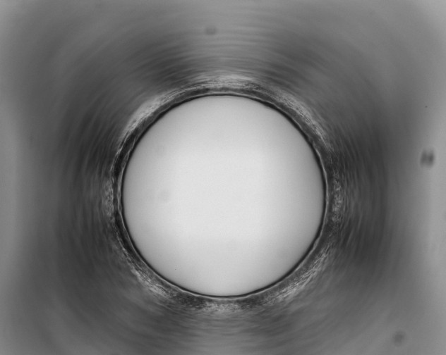 X0000099230978200805151625