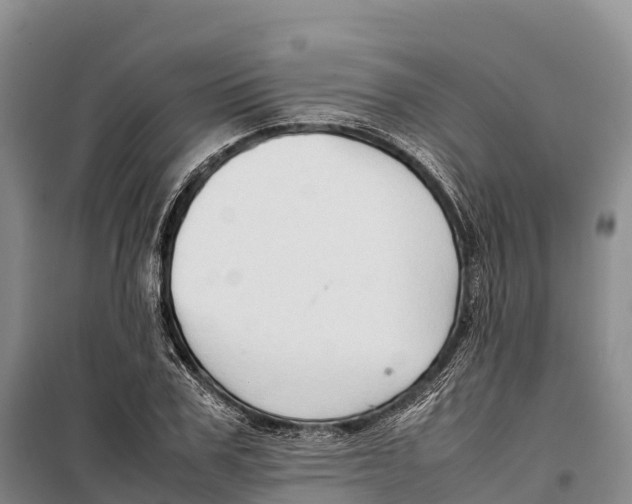 X0000099230979200805151625