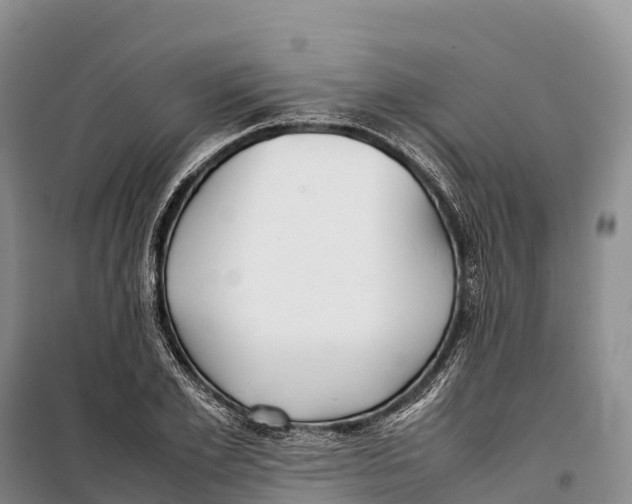 X0000099230981200805151625