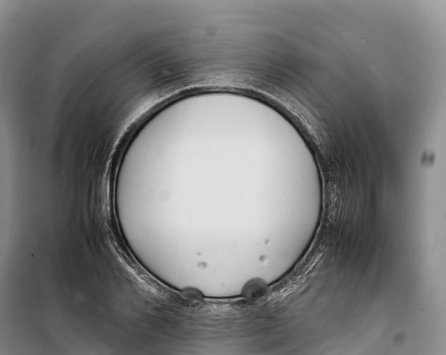 X0000099230982200805151625