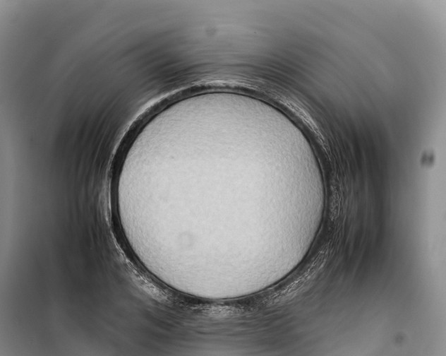 X0000099230984200805151625