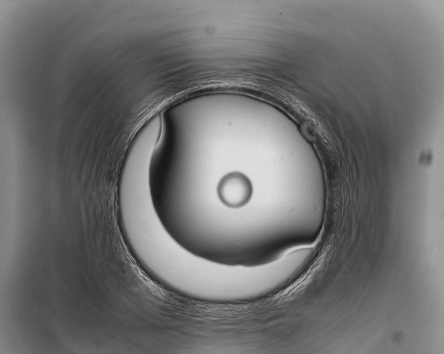 X0000099230985200805151625