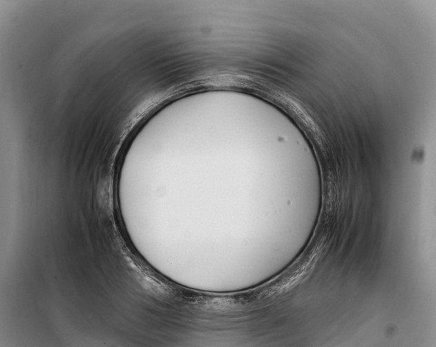 X0000099230986200805151625