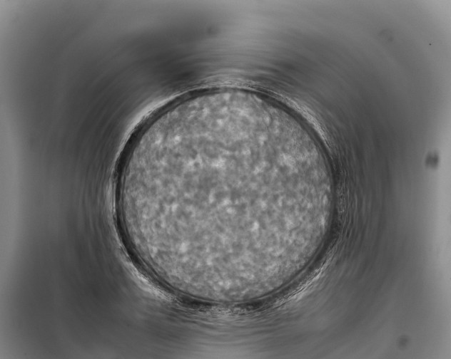 X0000099230987200805151625