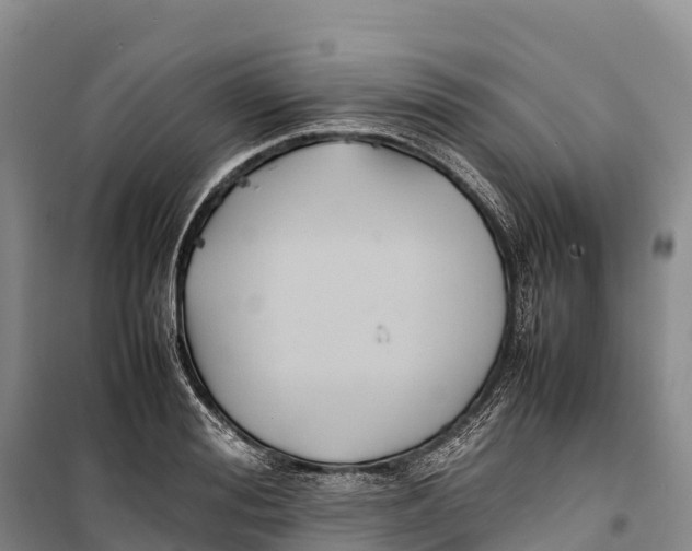 X0000099230988200805151625