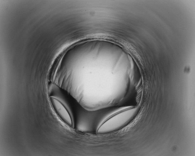 X0000099230989200805151625