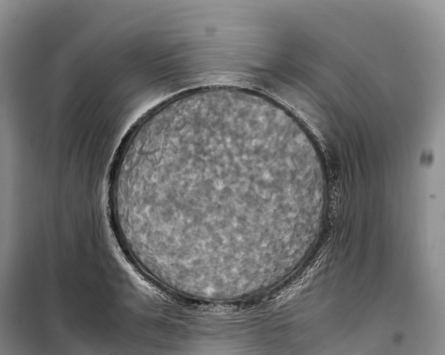 X0000099230991200805151625