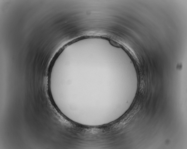 X0000099230992200805151625