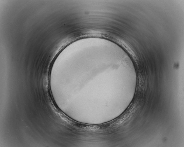 X0000099230994200805151625