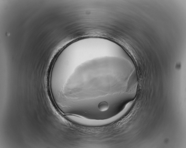 X0000099230995200805151625