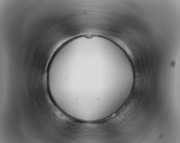 X0000099230996200805151625