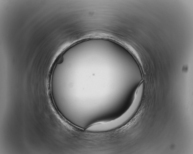 X0000099230997200805151625