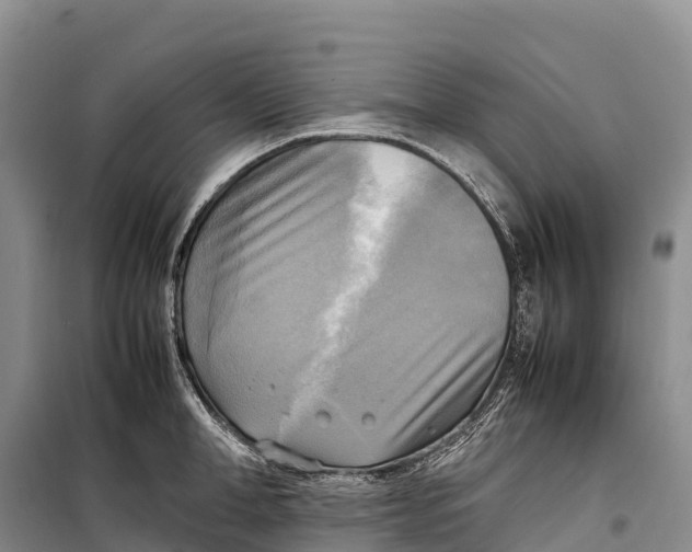 X0000099230998200805151625