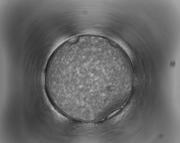 X0000099230999200805151625