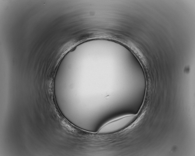 X0000099231001200805151625