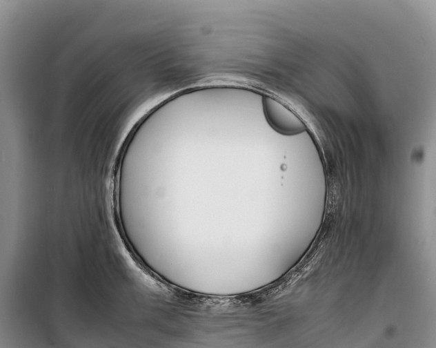 X0000099231003200805151625