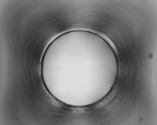 X0000099231004200805151625