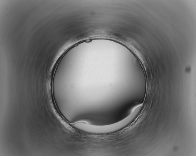 X0000099231005200805151625