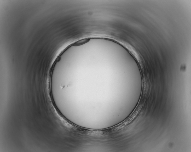 X0000099231006200805151625