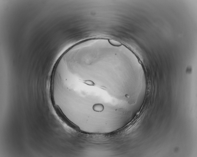 X0000099231007200805151625