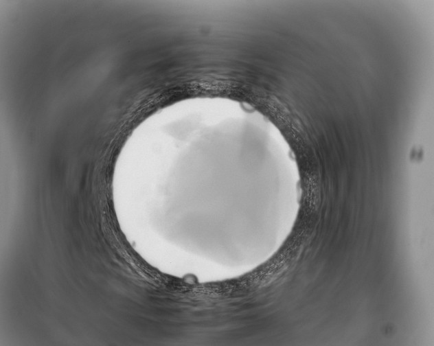 X0000099231009200805151624