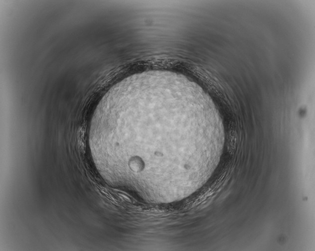 X0000099231010200805151624