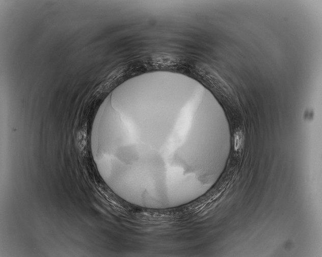 X0000099231011200805151624