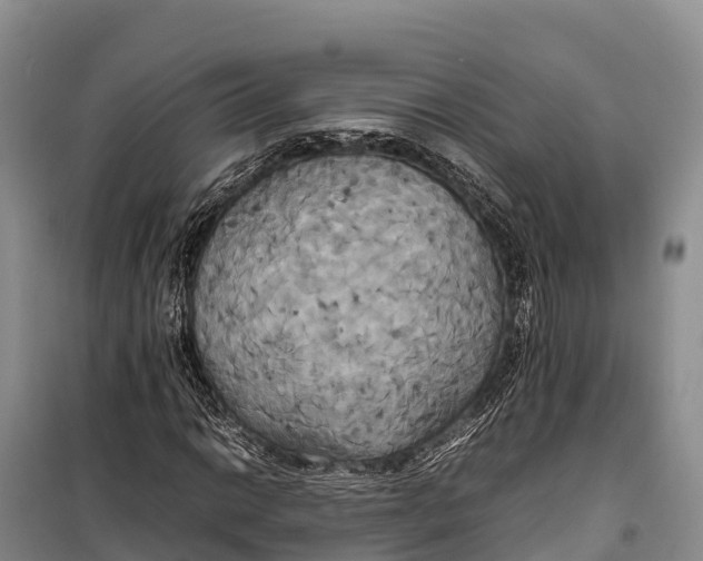 X0000099231014200805151624