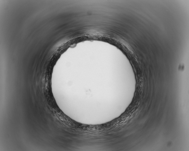 X0000099231016200805151625