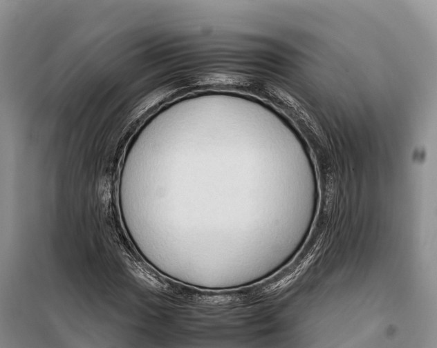 X0000099231017200805151625