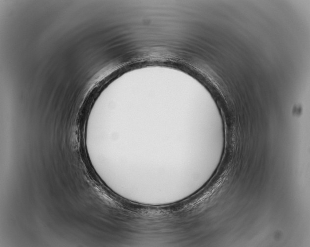 X0000099231018200805151625