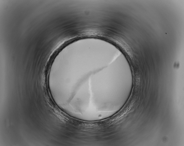 X0000099231023200805151625