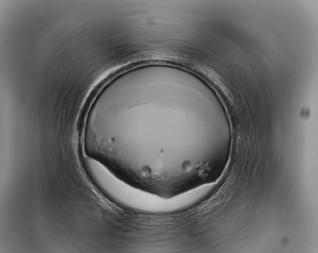 X0000099231024200805151625