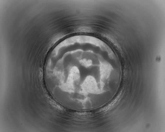 X0000099231025200805151625