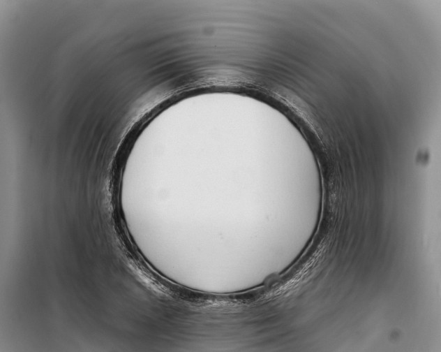 X0000099231026200805151625