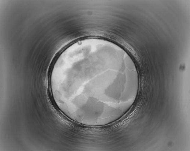 X0000099231028200805151625