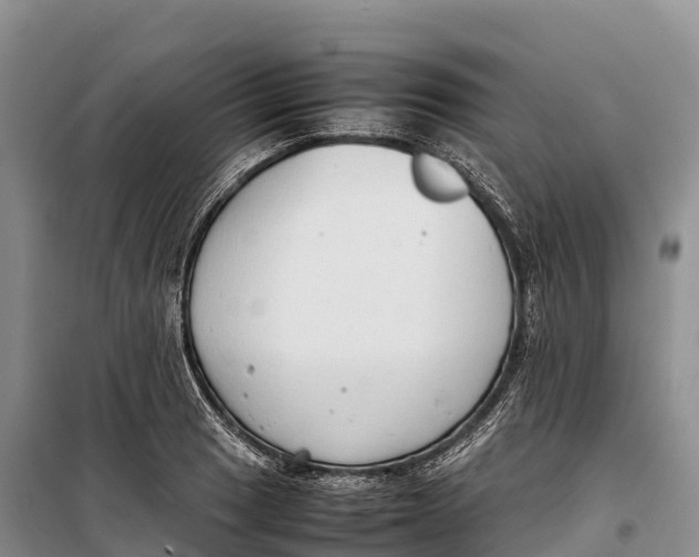 X0000099231033200805151625