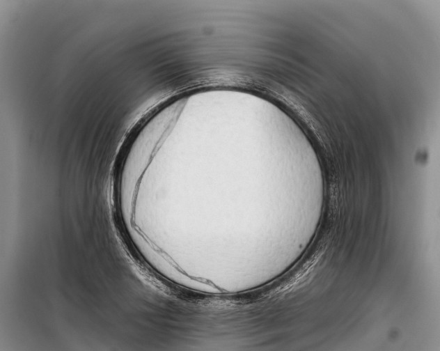 X0000099231034200805151625