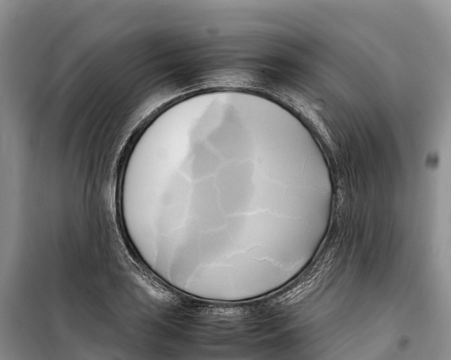 X0000099231035200805151625