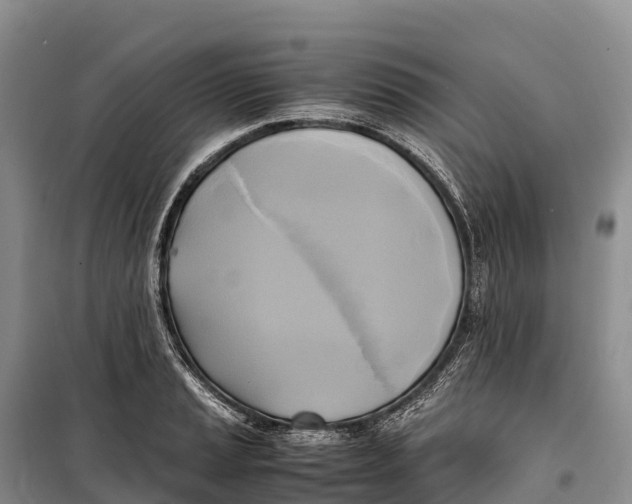 X0000099231037200805151625