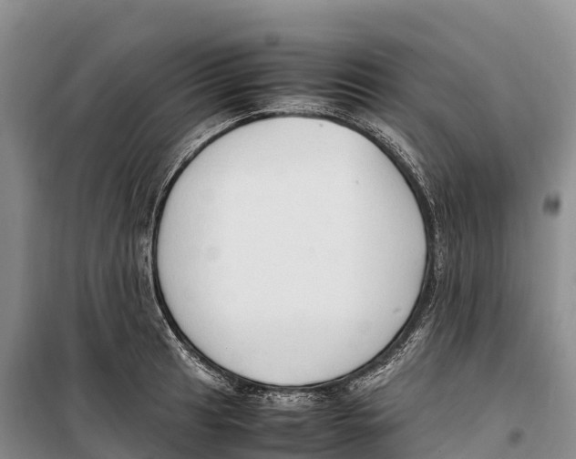 X0000099231041200805151625