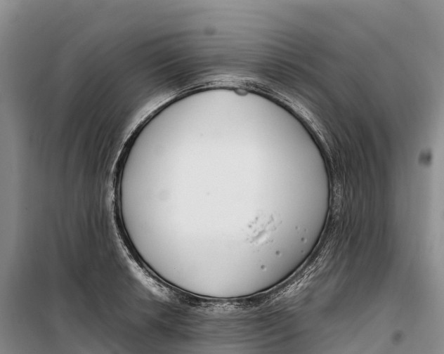 X0000099231042200805151625