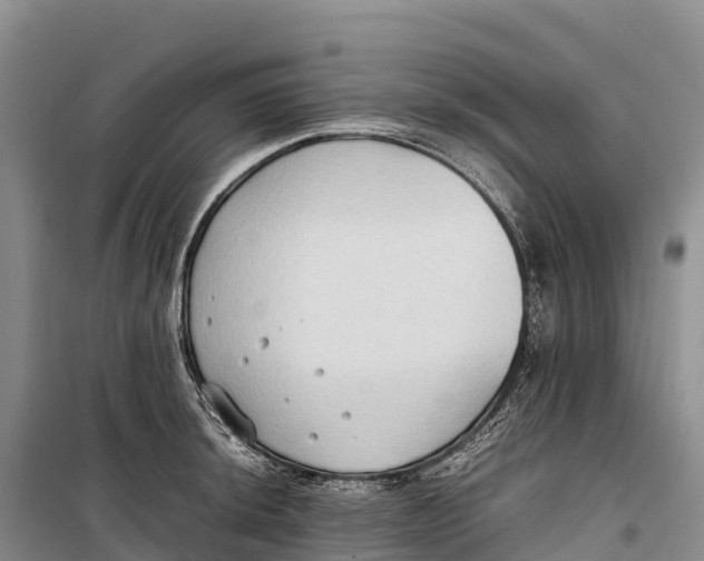 X0000099231044200805151625