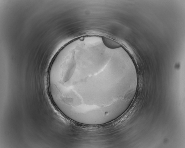 X0000099231048200805151625