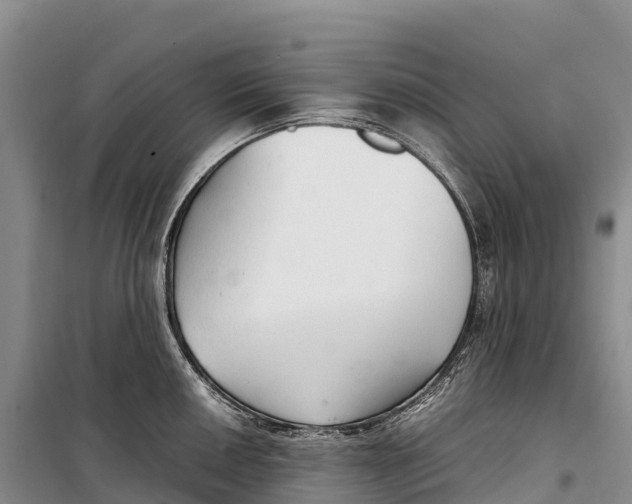 X0000099231050200805151625