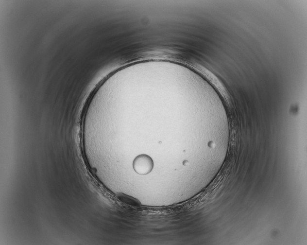 X0000099231051200805151625