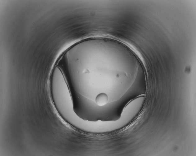 X0000099231053200805151625