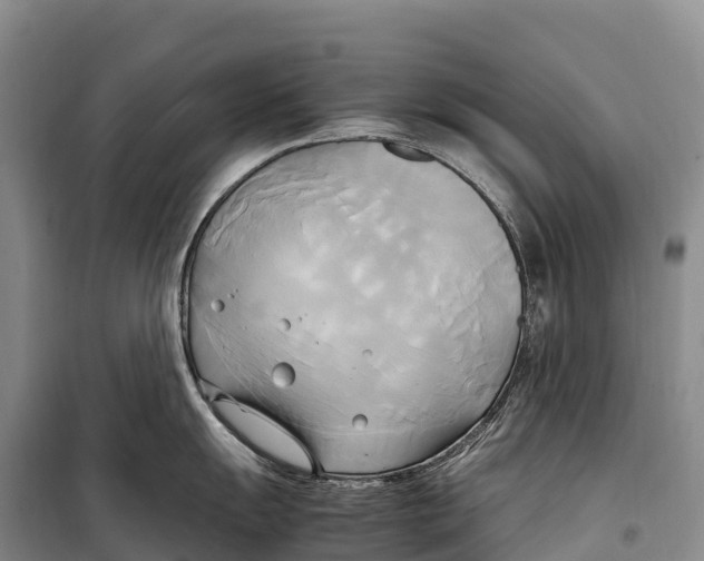 X0000099231055200805151625